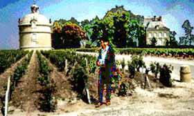 latouretmoi.jpg (20725 �o�C�g)